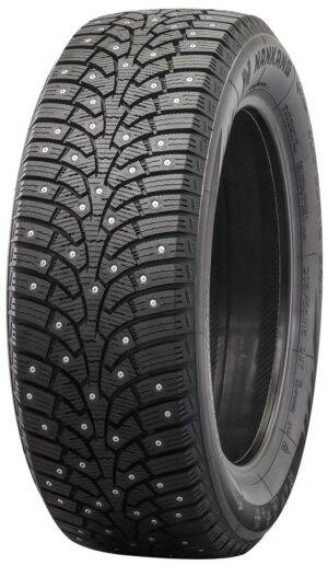 245/45R19 102Q NANKANG SW-9 XL - Image 1