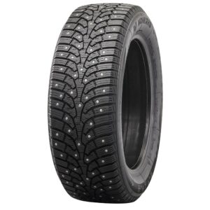 255/40R19 100T NANKANG SW-9 XL