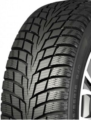 245/45R19 102Q Nankang ICE-1 XL